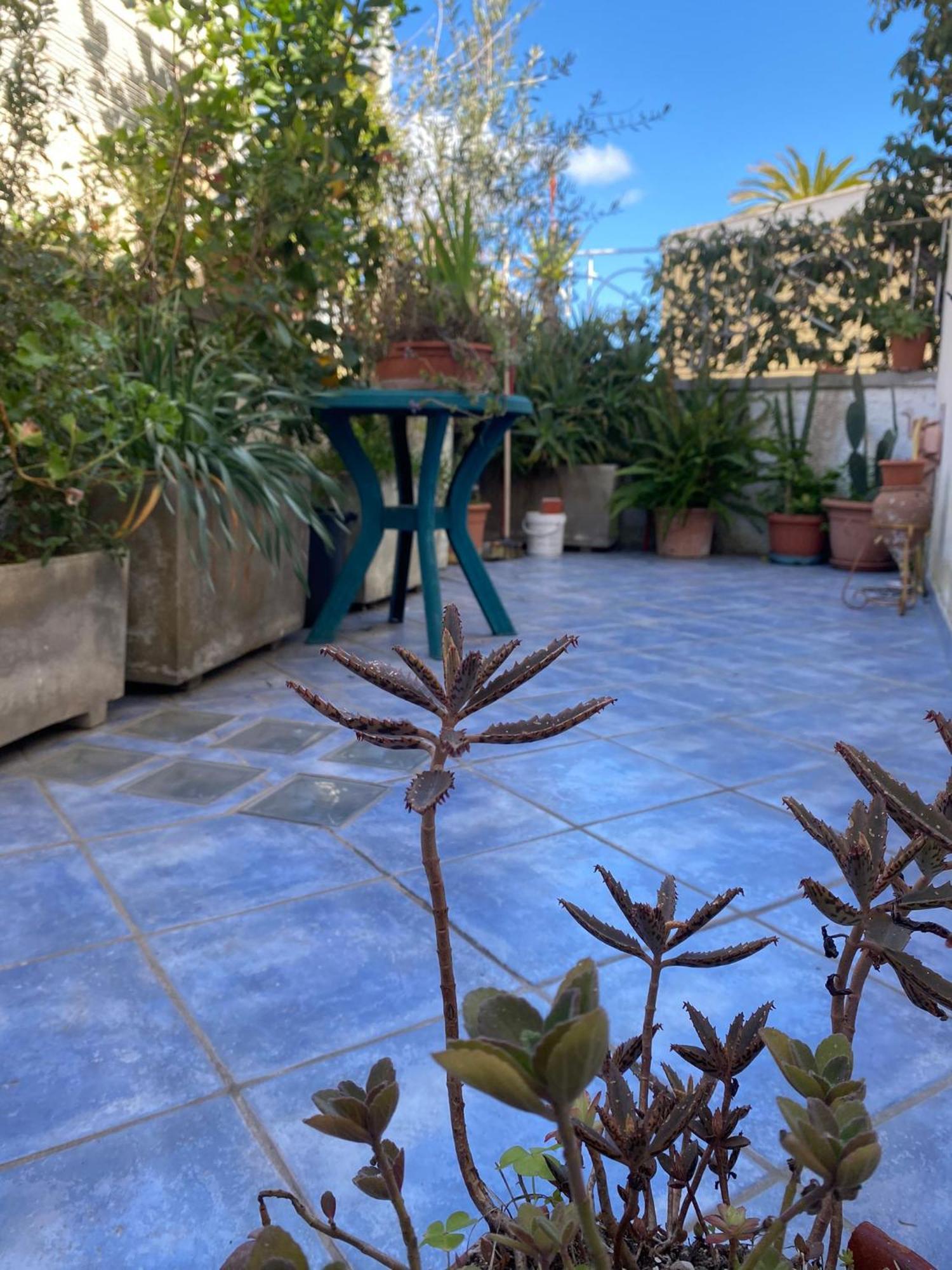 Casa Vacanza Maronti Barano dʼIschia Εξωτερικό φωτογραφία